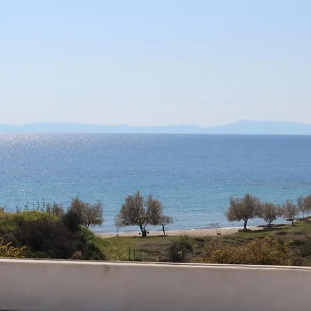 Hippocampus 2' Walk From The Sea