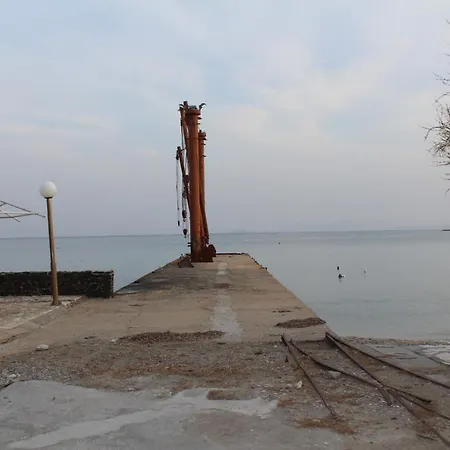 Hippocampus 2' Walk From The Sea * Moutsoúna